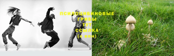 кристаллы Горнозаводск