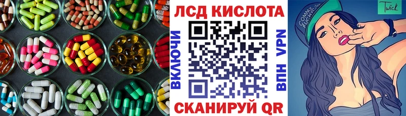 дарнет шоп  Шагонар  Лсд 25 экстази кислота 